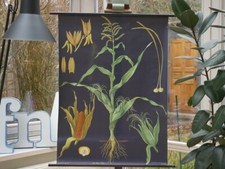 VINTAGE | SCHULWANDKARTE