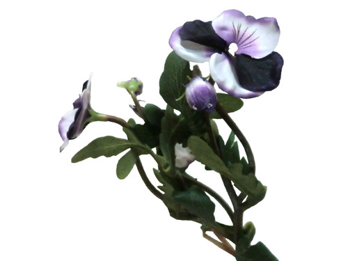 Hornveilchen künstlich blau - hornveilchen,