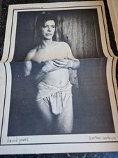 Clipping David Bowie by Anton