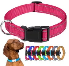Kleiner Hunde Choker Halsband