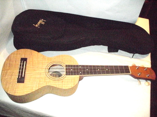 Ashbury ukulele - ashbury,
