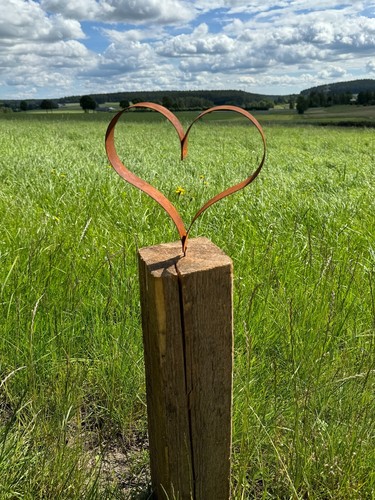 Edelrost herz groß breites - groß,
