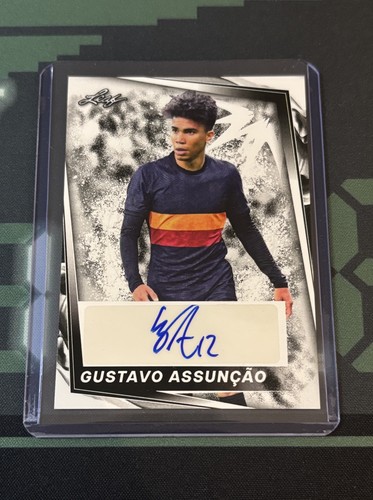 2024 leaf gustavo - 2024,
