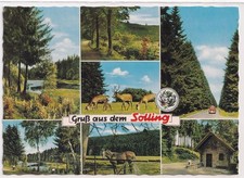 AK - (D) - Neuhaus im Solling