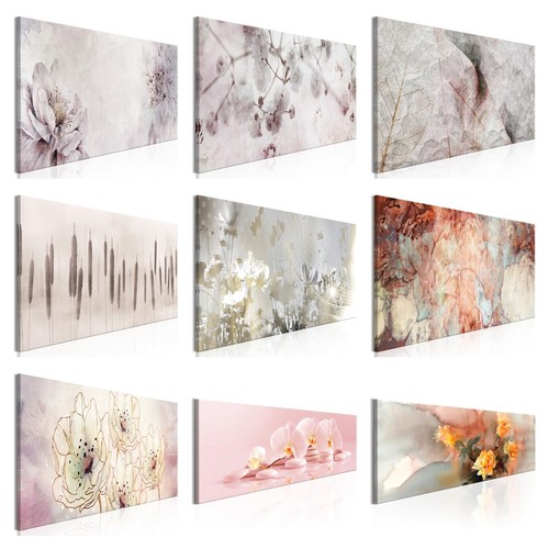 Blumen fototapete aus tnt - blumen,