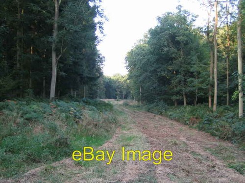 Foto 6x4 fahrt durch runt - foto,