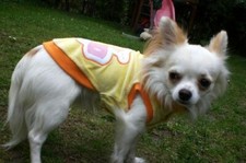 Hunde Nicki Pulli Jogger Pullover Puschelbesatz Hundebekleidung Angebot klkxde