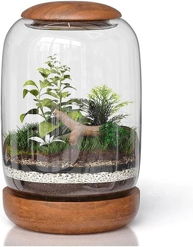 Exclusive glass terrarium - exclusive,