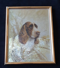 Ruane Manning ENGLISH SPRINGER