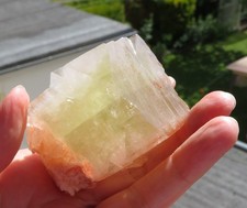 Fluorapophylit Einzelkristall