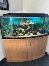 Eckaquarium mit Unterschrank Eichefarbe
