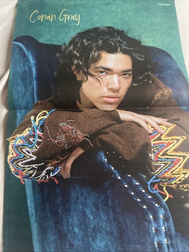 Conan gray juju poster - conan,
