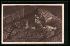 Künstler-AK Stellingen-Hamburg, Hagenbeck´s Tierpark, Tigerschlucht 
