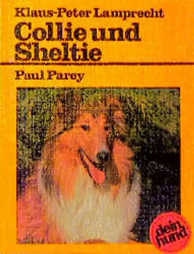 Collie und sheltie - collie, sheltie.