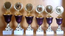 Pokale lila serie gestaffelt - serie,