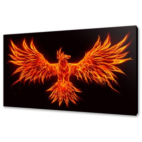 Phenix fire leinwandbild - phenix,