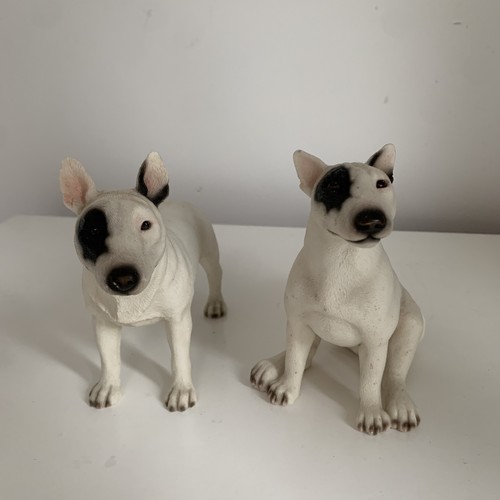 Leonardo english bullterrier - english,