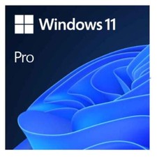 Microsoft Windows 11 Pro Standartlizenz Vollversion 64 Bit OEM DVD FQC-10528
