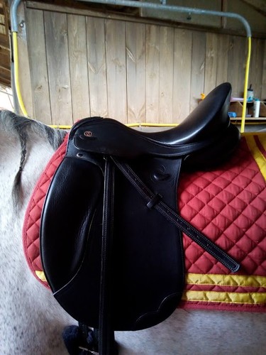 Dressursattel kieffer - dressursattel,