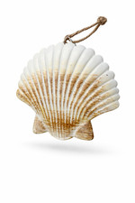 Muschel Wanddeko Metall