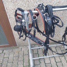 Top  Einspänner  Geschirr