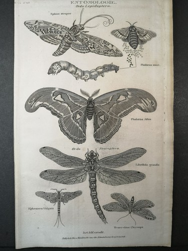 Original stahlstich 1838 - original,