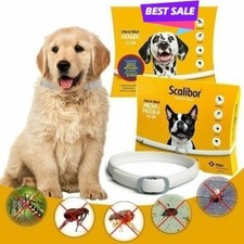 🐕 Floh Zeckenhalsband Hund