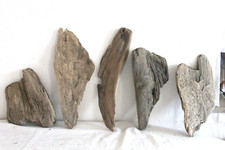 Schwemmholz Treibholz 5