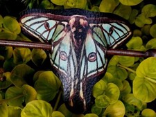 Haarspange Barrett Haarschmuck Moth - Man Motte Gothic Pagan Witchy Kunstleder