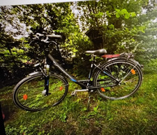 Damenfahrrad Pegasus gebraucht, City Rad