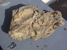 (19) Findling zur Gartengestaltung