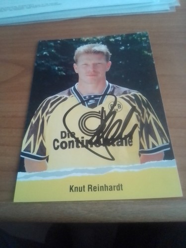 Borussia dortmund knut - borussia,