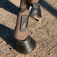 Scharenberg - Hufglocken