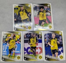 LOT Borussia Dortmund BVB - 5