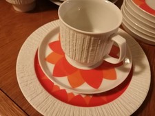 Thomas Arcta Borkenrand