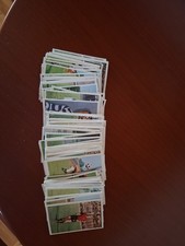 Bergmann fussball - bergmann,