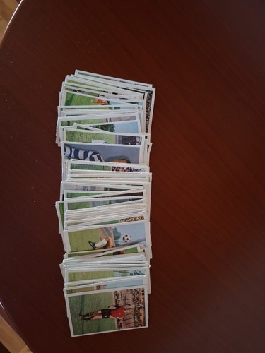 Bergmann fussball - bergmann,