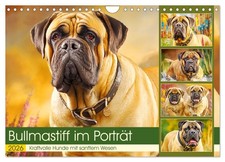 Bullmastiff im Porträt