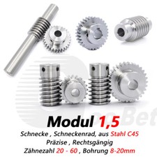 Schnecke Schneckenrad aus