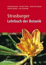 Strasburger - Lehrbuch der