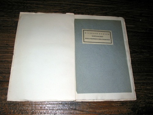Nietzsches philosophisches