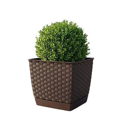 Blumentopf pflanztopf - blumentopf,