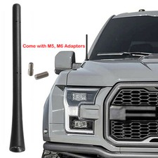 Black roof antenna car antenna