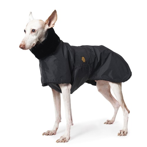 Fashion dog gefütterter - fashion,