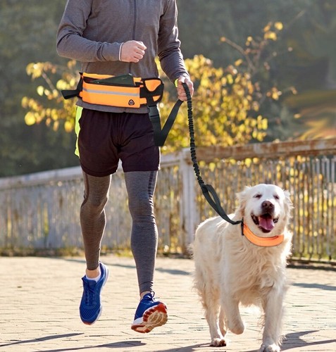 Hunde joggingleine mit - hunde,