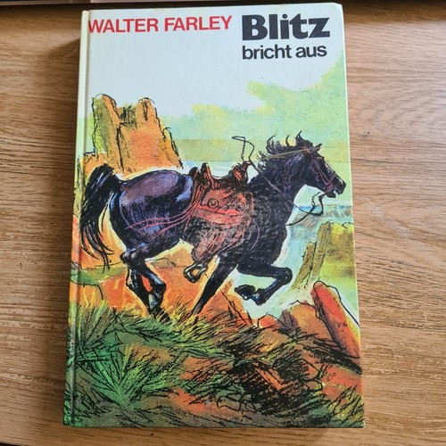 Blitz bricht aus von walter - bricht,
