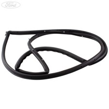 Original FORD Fiesta Mk8 Vorne links Tür Fenster Dichtung 20142054837