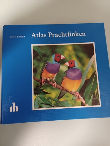 Atlas prachtfinken horst - atlas, prachtfinken,