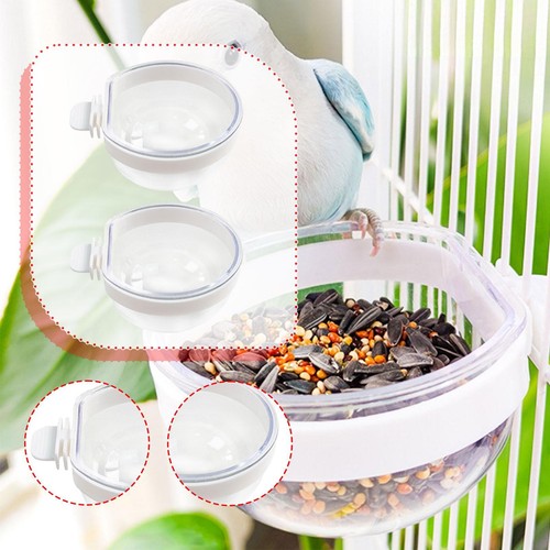 Papagei feeder acryl - papagei,