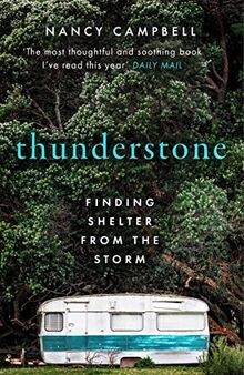 Thunderstone finding shelter - finding,